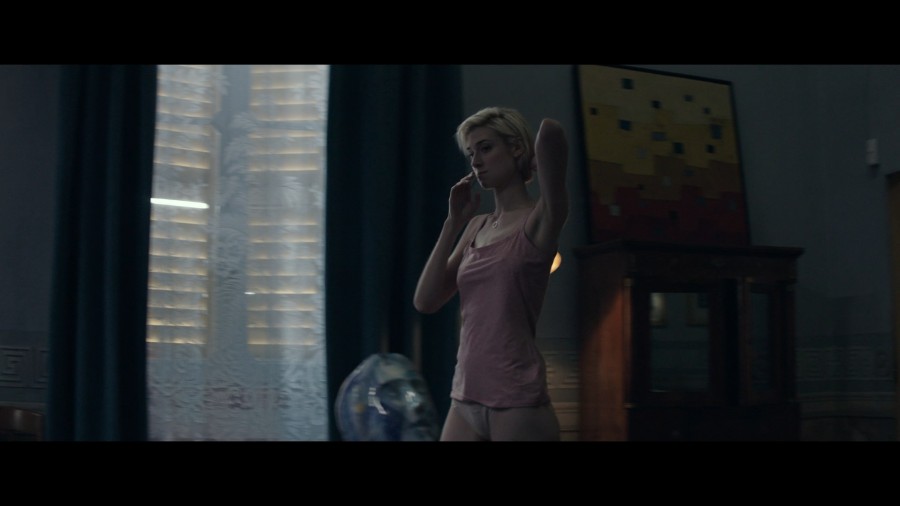 Elizabeth Debicki The Burnt Orange Heresy 2019 Blu ray 1080p Remux NCS 012