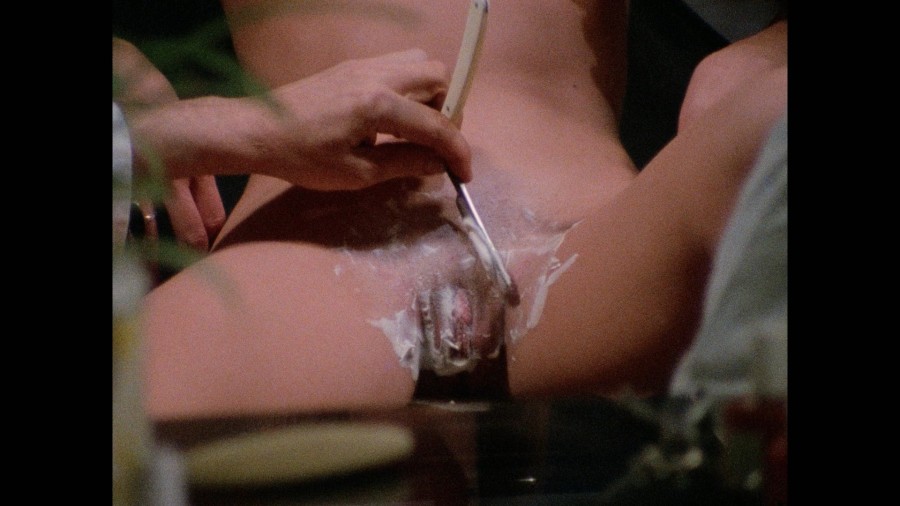 Dee Dee Levitt Maria Arnold Uschi Digard Candy Samples others Fantasm 1976 1080p Blu ray Remux NCS 0