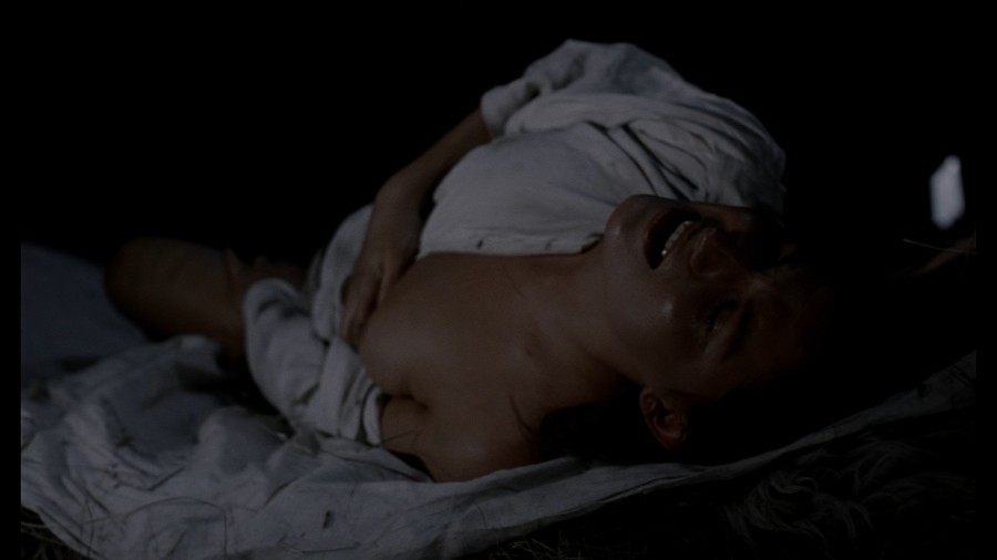 Liliana Komorowska The Inn 1982 1080p Blu ray Remux NCS 015