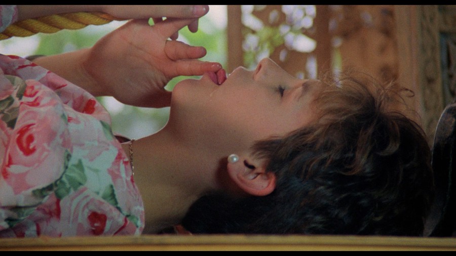 Jamie Lee Curtis A Fish Called Wanda 1080p Blu ray 1988 Remastered Remux NCS 017