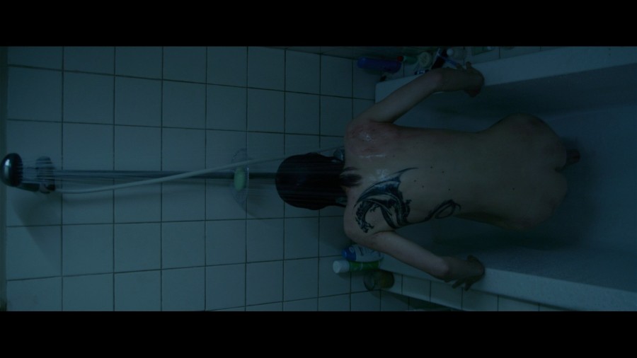 Rooney Mara Elodie Yung The Girl with the Dragon Tattoo 2011 1080p Blu ray Remux NCS 011