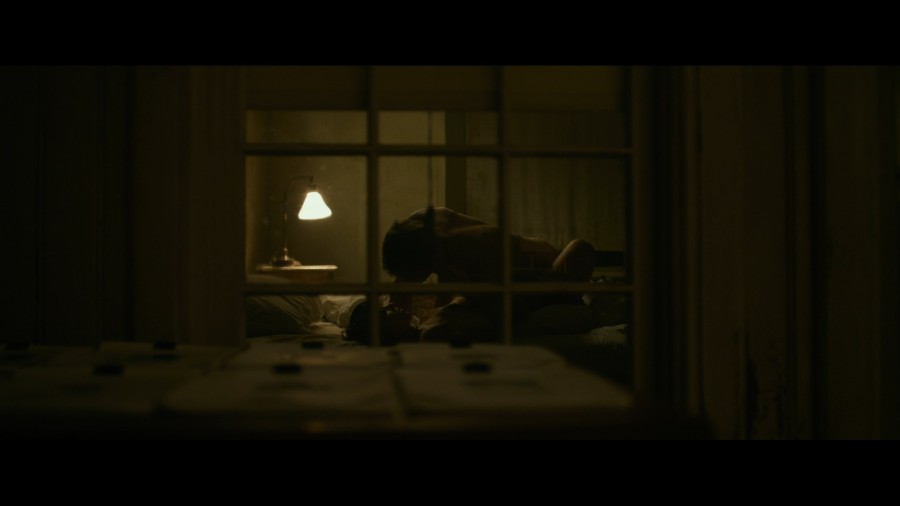 Rooney Mara Elodie Yung The Girl with the Dragon Tattoo 2011 1080p Blu ray Remux NCS 021