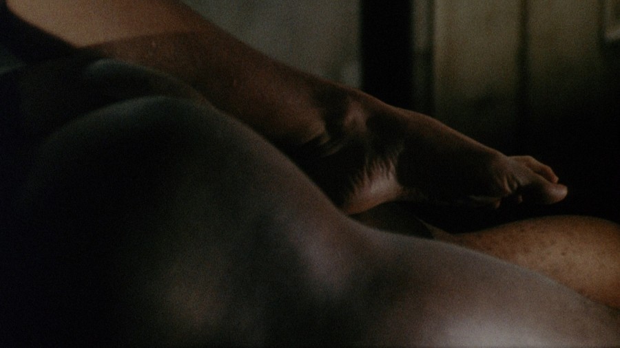 Reda-Wyatt_Debbi-Morgan_Brenda-Sykes_Susan-George_Laura-Misch_-_Mandingo-1975-1080p-Blu-ray-Remux-NCS-022.jpg