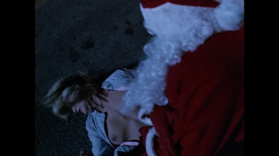 Tara-Buckman_Laura-Harring_Samantha-Scully_-_Silent-Night-Deadly-Night-3-1989-1080p-Blu-ray-REMUX-NCS-01.jpg
