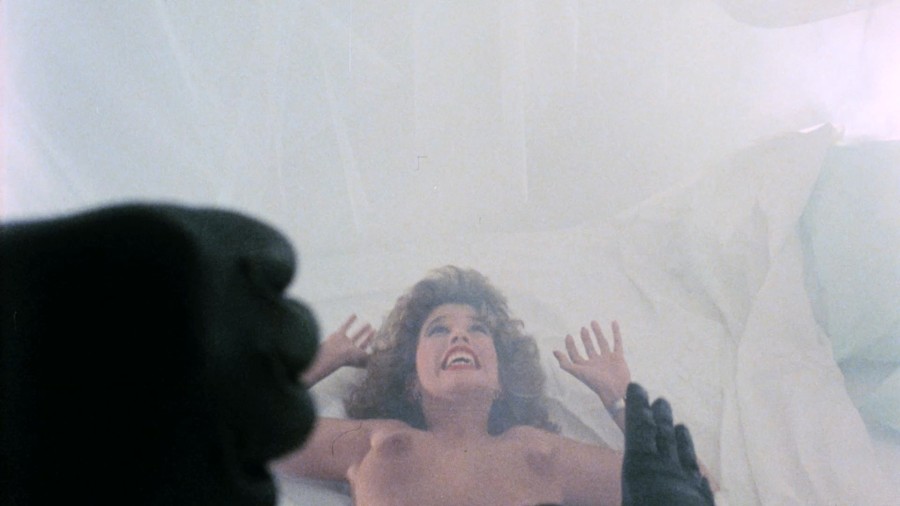 Jewel-Shepard_Anne-Marie-Jensen_Carole-James_Helen-Devon_others_-_Christina-1984-1080p-Blu-ray-Remux-NCS-018.jpg