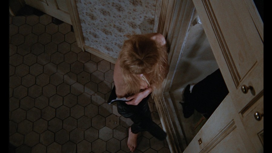 Marianne-Faithfull_-_The-Girl-on-a-Motorcycle-1968-1080p-Blu-ray-Remux-NCS-08.jpg